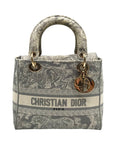 Christian Dior Gray & White Canvas D-Light Satchel Bag