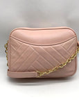 Tory Burch Blush Pink Leather Alexa Stitch Camera Crossbody Bag