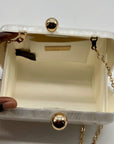 I.N.C. Pearl Acrylic Box Clutch Bag