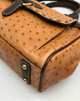 Dooney & Bourke Tangerine & Brown Ostrich Leather Pocket Satchel Bag