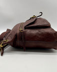 Fossil Brown Leather Sasha Crossbody Bag