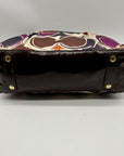 Coach Ashley Satchel Bag Brown F20034