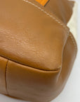 Coach Park Colorblock Carrie/ Hobo Bag F24369