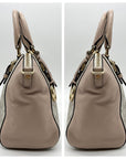 Michael Kors Light Pink & Beige Ciara Crossbody Tote
