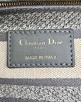 Christian Dior Gray & White Canvas D-Light Satchel Bag