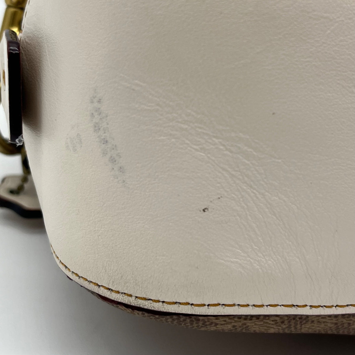 Coach Rose Print Signature Coated Canvas Crossbody Bag- 31695