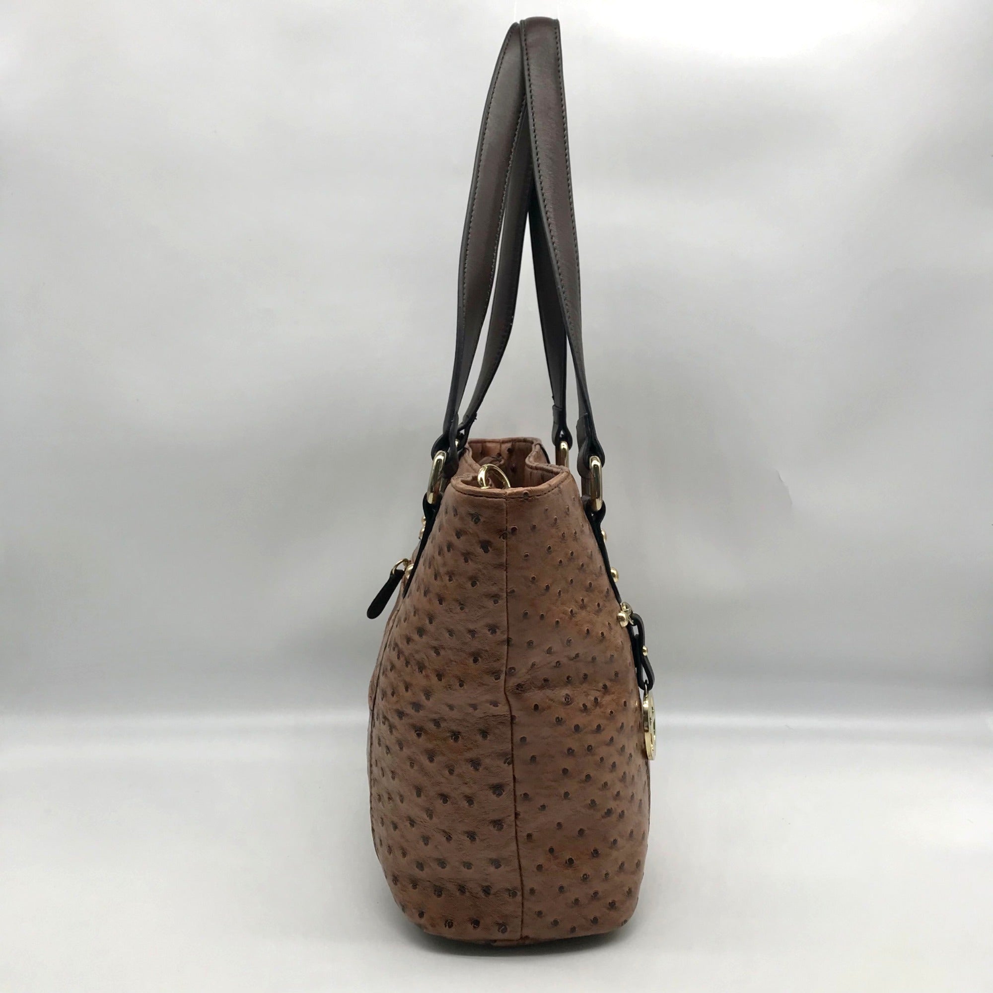 Giani Bernini Brown Embossed Ostrich Leather Handbag