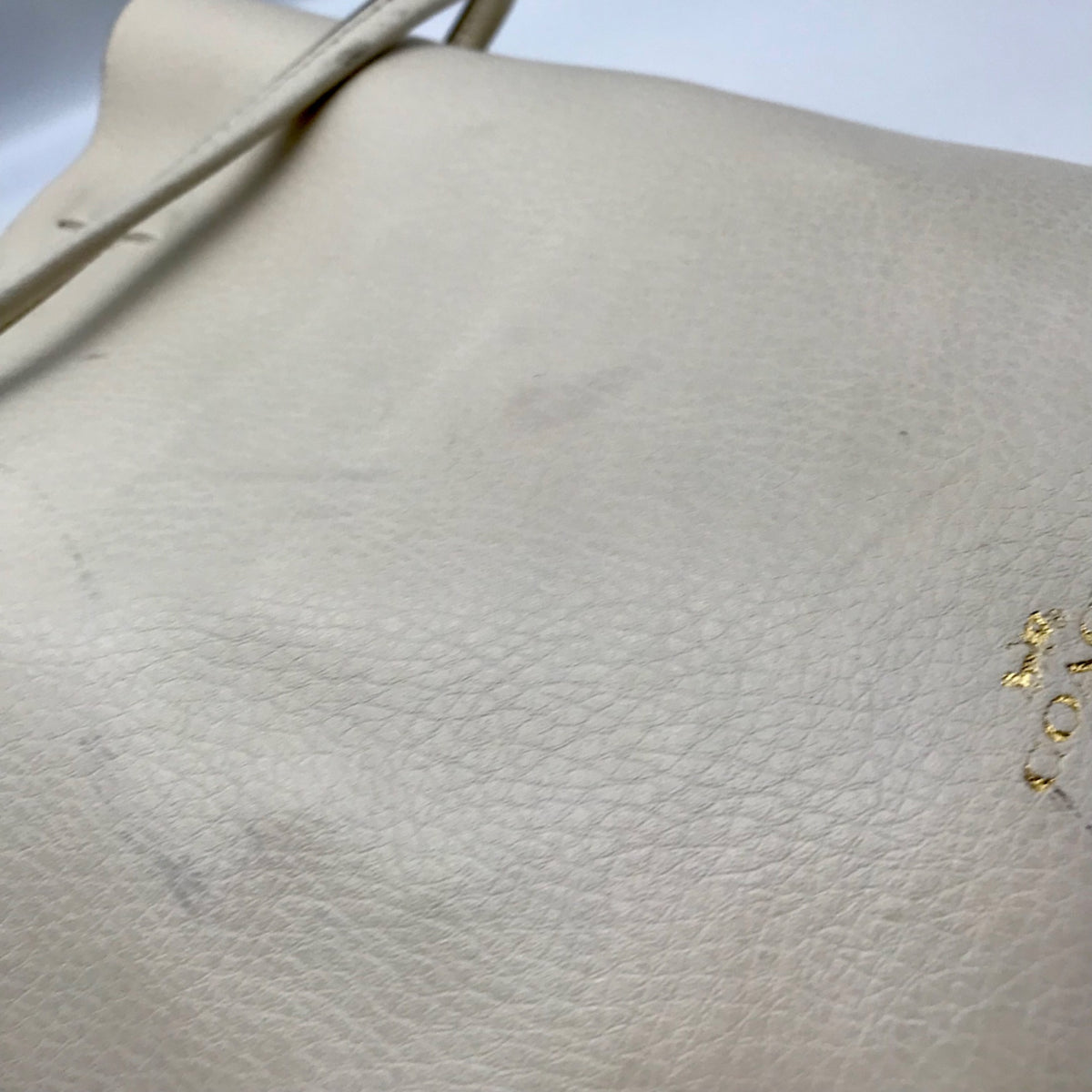 Coach White Pebbled Leather Derby Crossbody Bag F58661