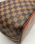 Louis Vuitton Brown Damier Ebene Canvas Noé Bucket Bag