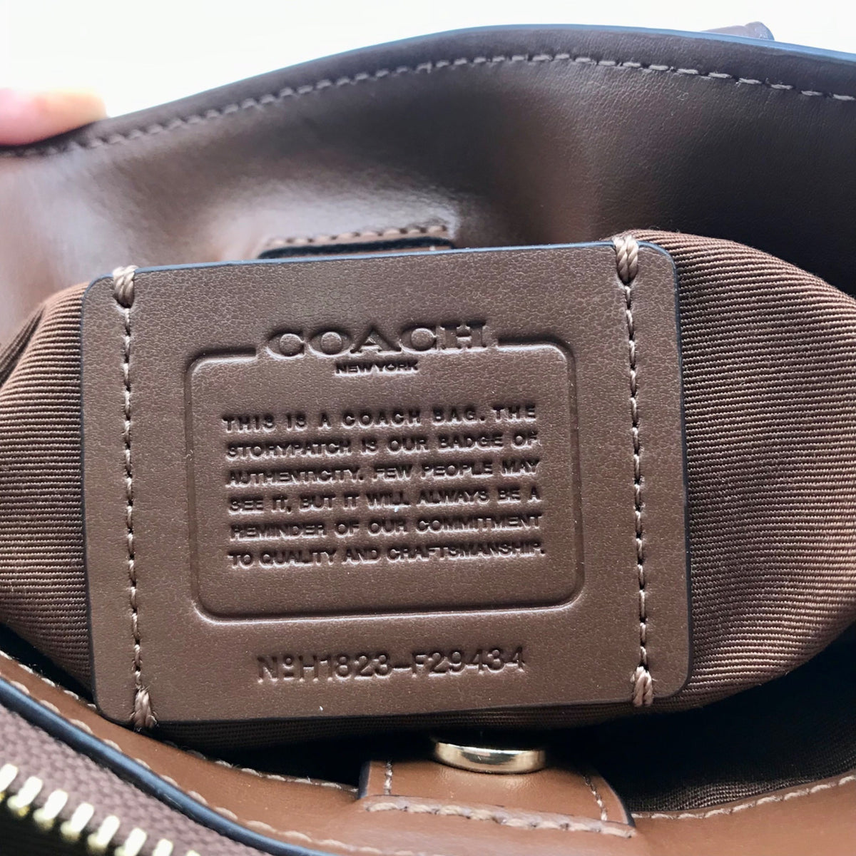 Coach Mini Sage Carryall  Bag F29434