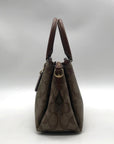 Coach Mini Sage Carryall  Bag F29434