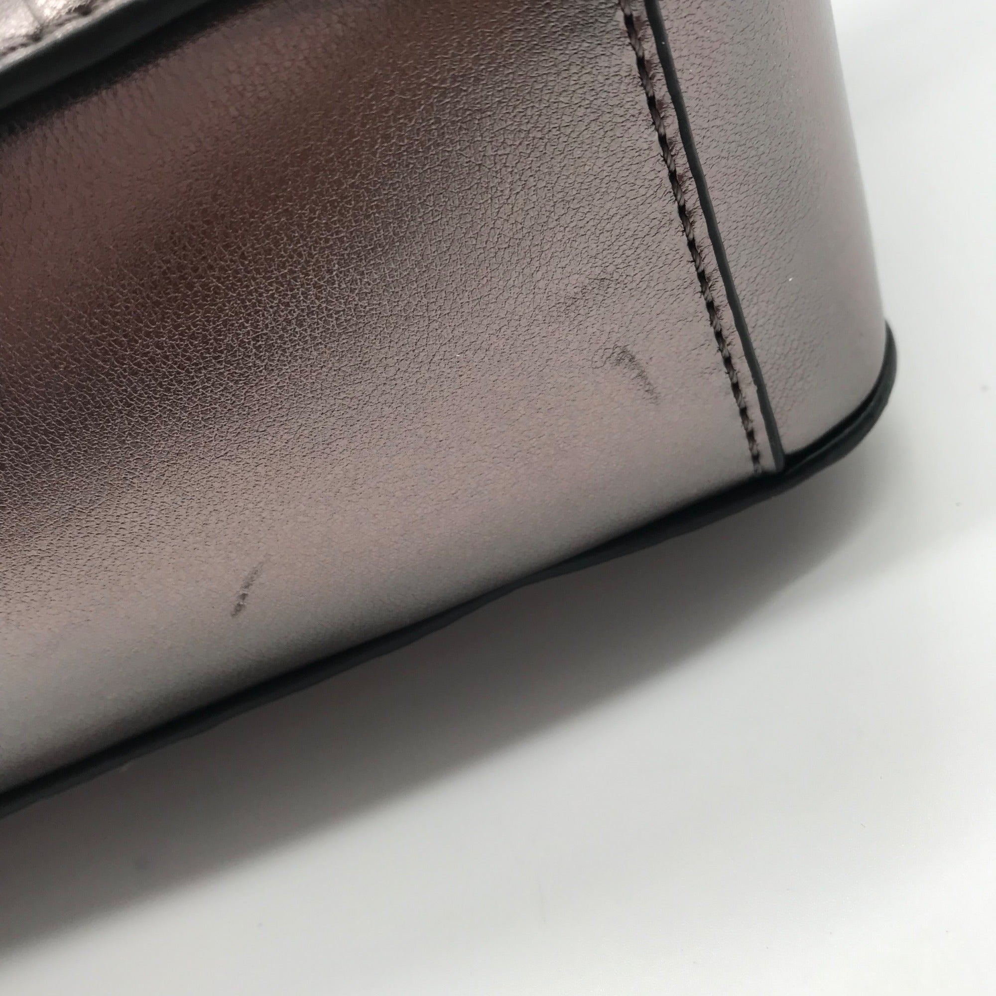 DKNY Metallic Silver Small Ashlyn Crossbody Camera Bag