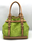 Francesco Biasia Tropical Green Suede & Leather Tote Bag