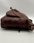 Fossil Brown Leather Sasha Crossbody Bag