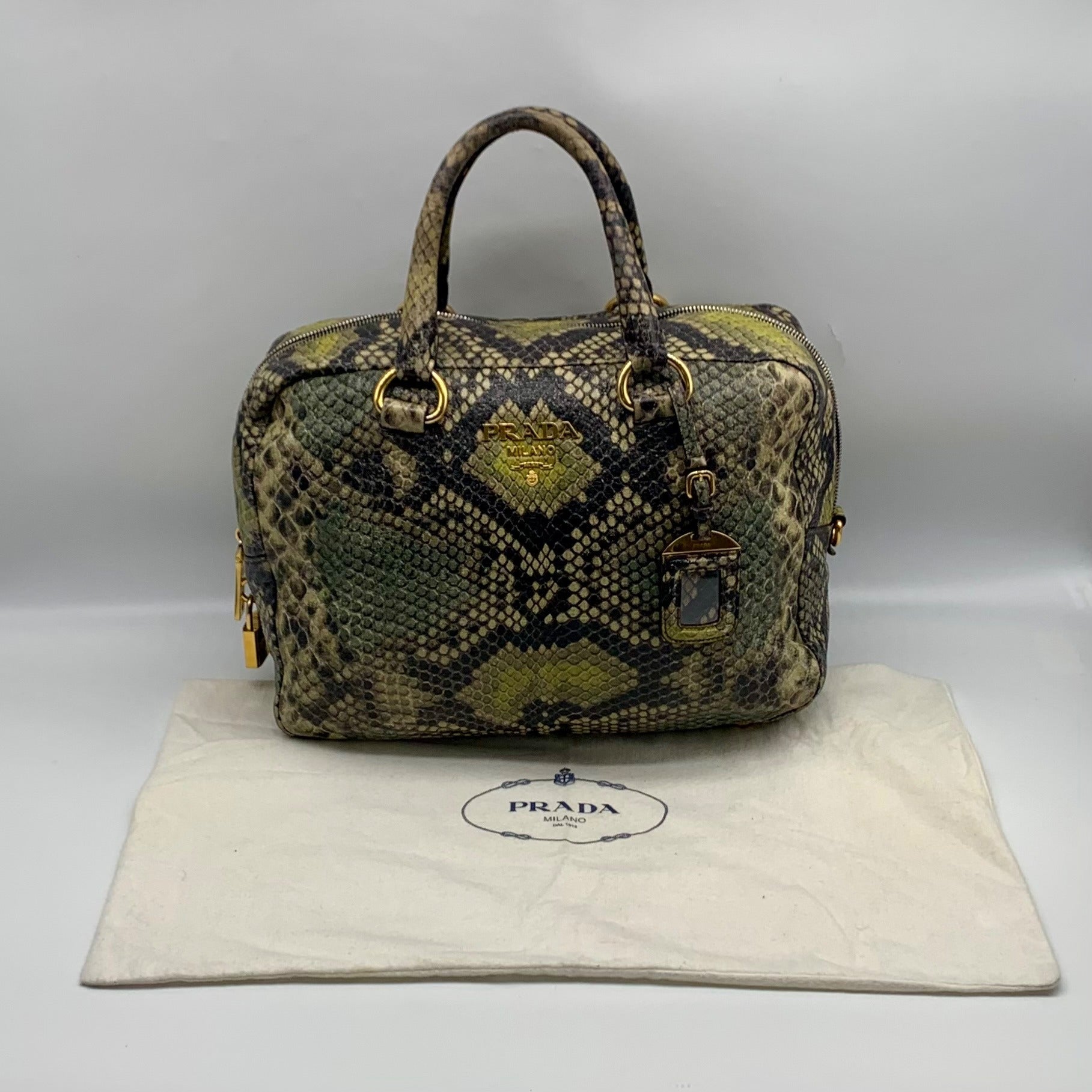 Prada Cervo Lux Printed Snakeskin Leather Tote