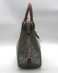 Michael Kors Brown & Vanilla Hamilton Large Tote