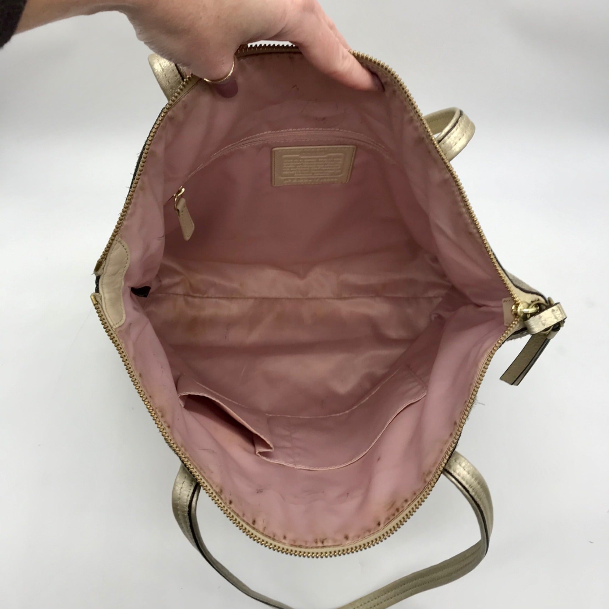 Coach Leather Snakeskin Emboss Beige Large Tote - F19696