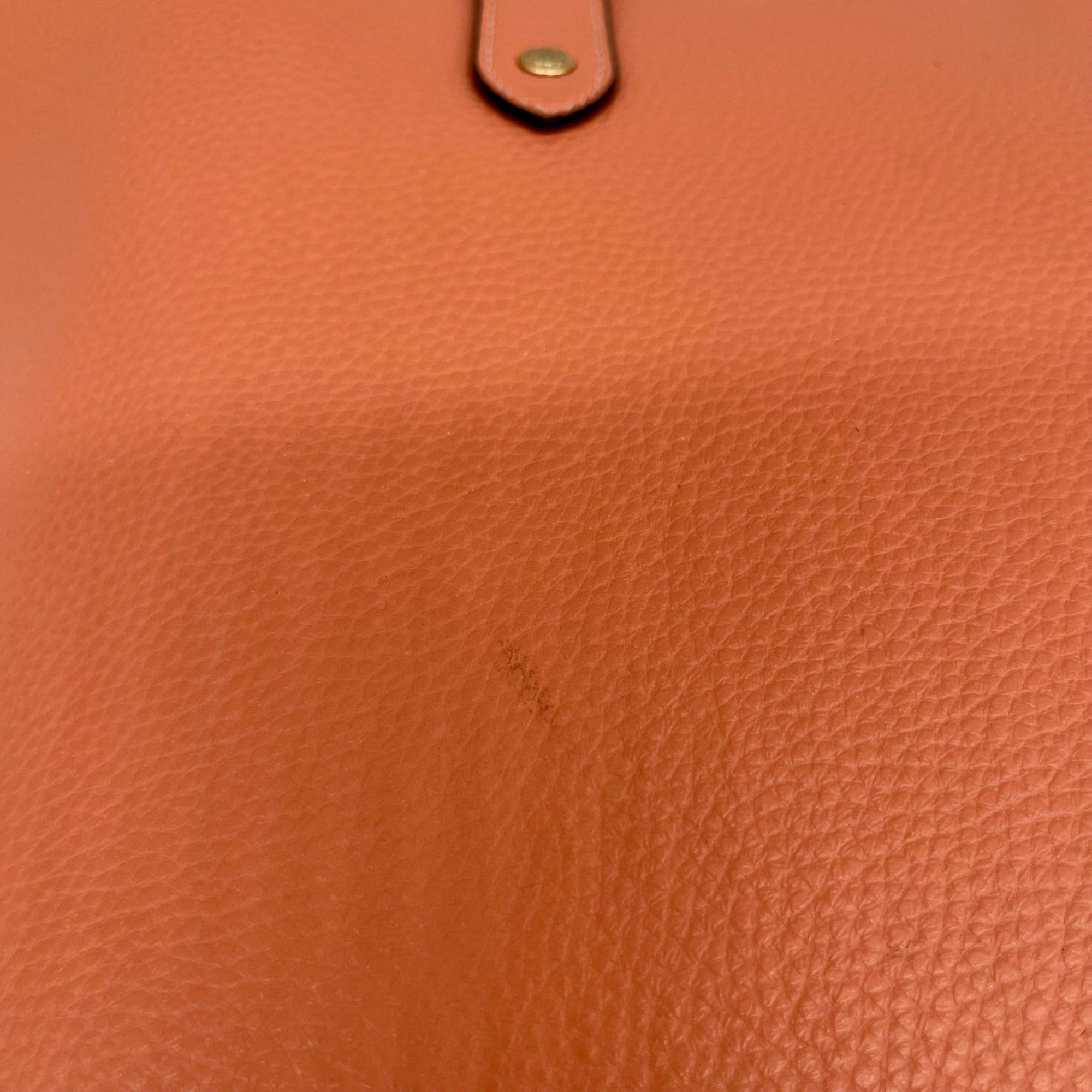 Coach Pink City Tote Bag -F72673