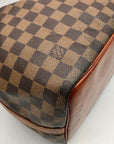 Louis Vuitton Brown Damier Ebene Canvas Noé Bucket Bag