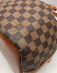 Louis Vuitton Brown Damier Ebene Canvas Noé Bucket Bag