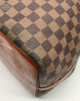 Louis Vuitton Brown Damier Ebene Canvas Noé Bucket Bag