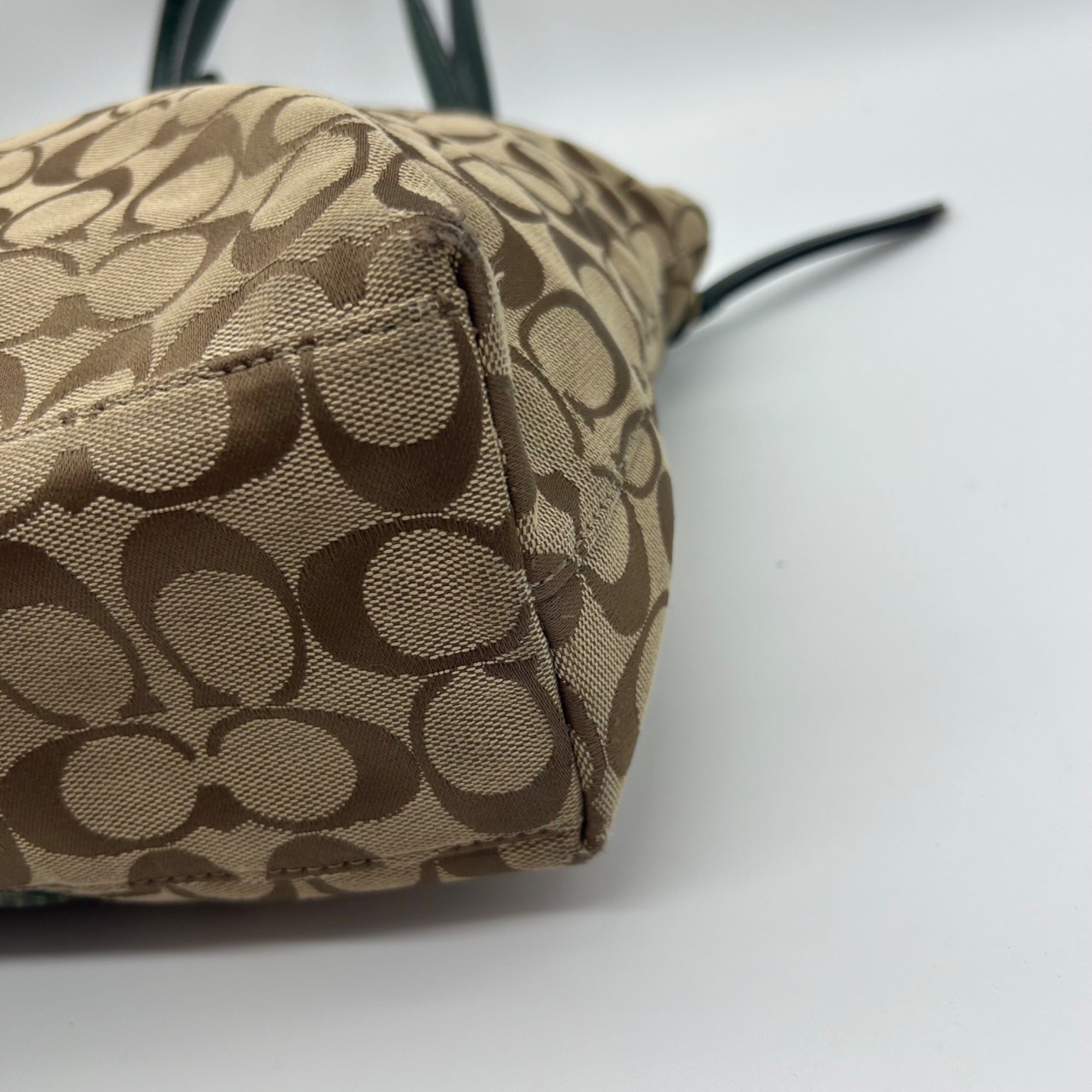 Coach Signature Python Stripe Tote Bag F25706