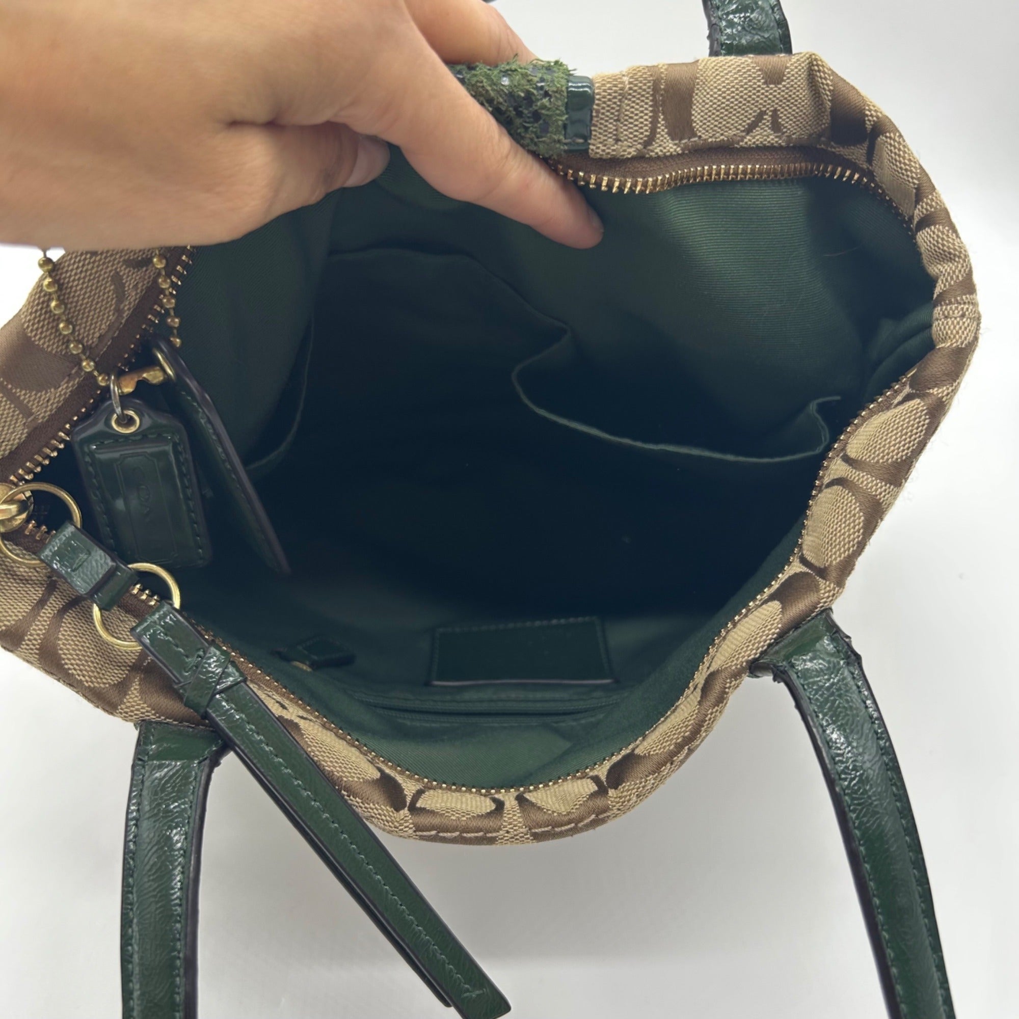 Coach Signature Python Stripe Tote Bag F25706