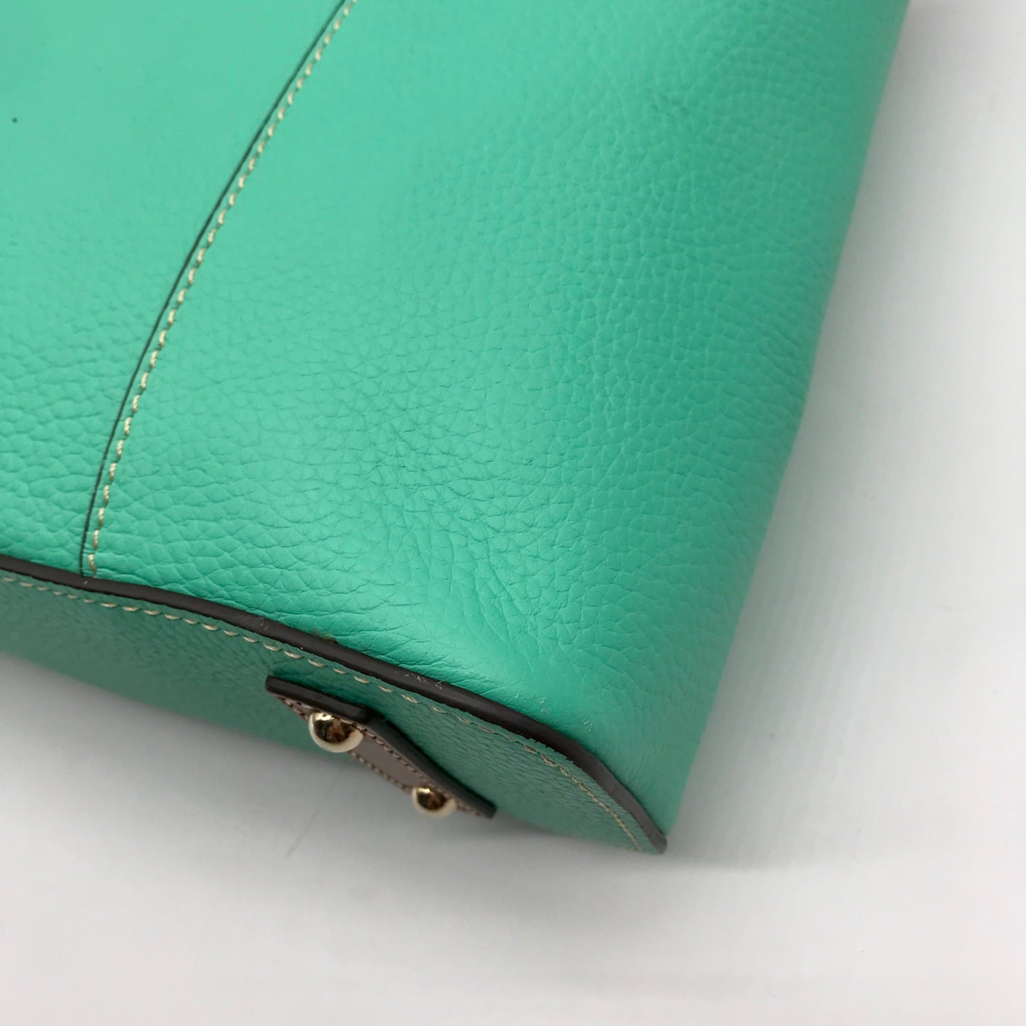 Dooney &amp; Bourke Mint Green Pebbled Grain Leather Lexington Tote Bag