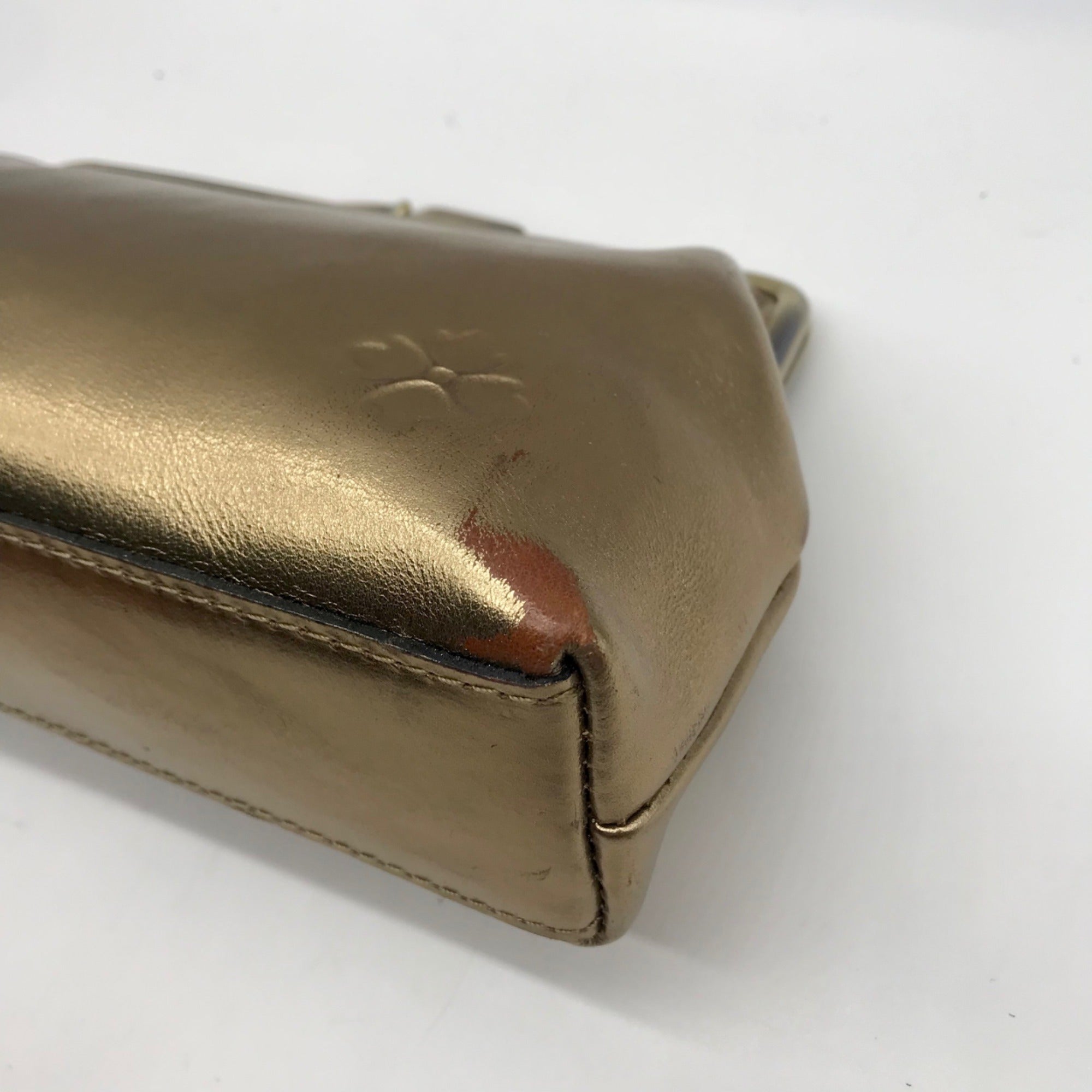 Patricia Nash Gold Frame Crossbody Clutch Bag