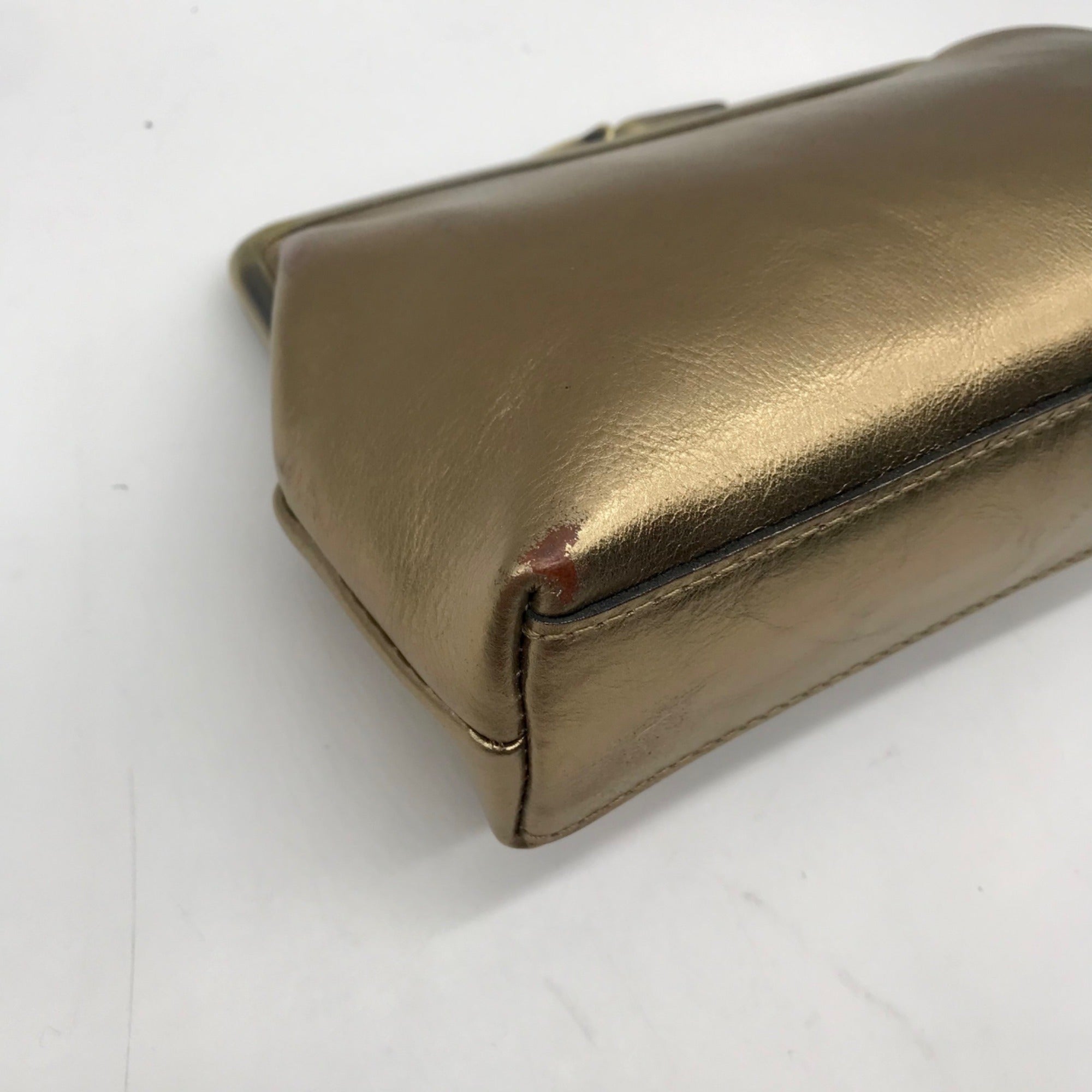 Patricia Nash Gold Frame Crossbody Clutch Bag