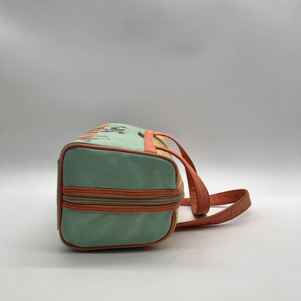 Fossil Multicolored Canvas Cosmetic Pouch