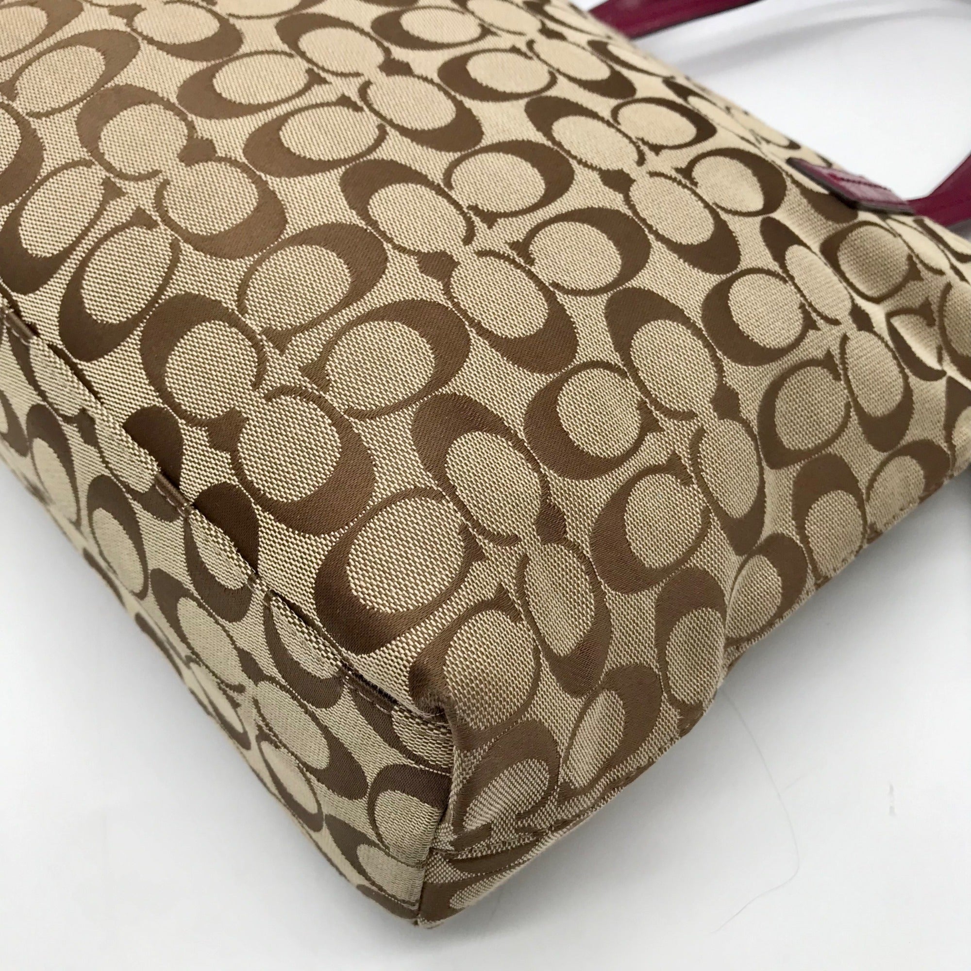 Coach Brown Canvas Signature Python Stripe Tote BagF25706