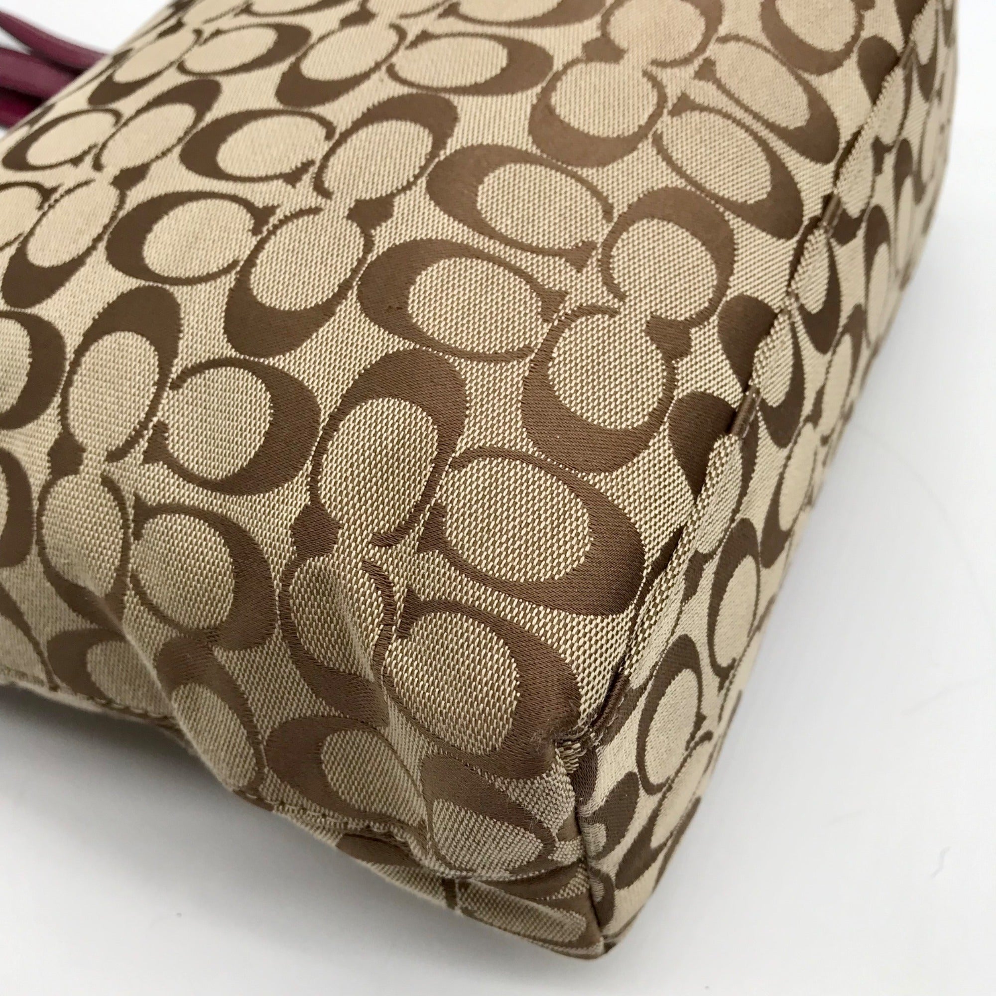 Coach Brown Canvas Signature Python Stripe Tote BagF25706