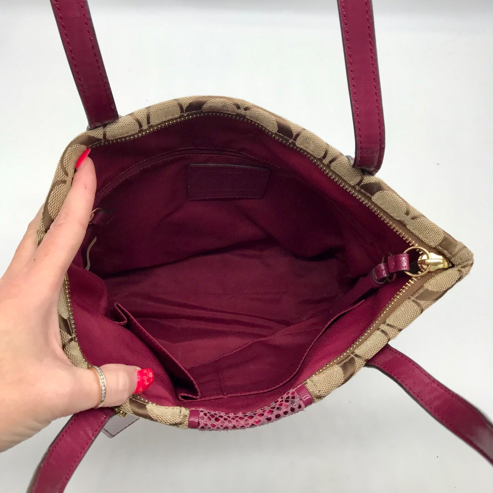 Coach Brown Canvas Signature Python Stripe Tote BagF25706