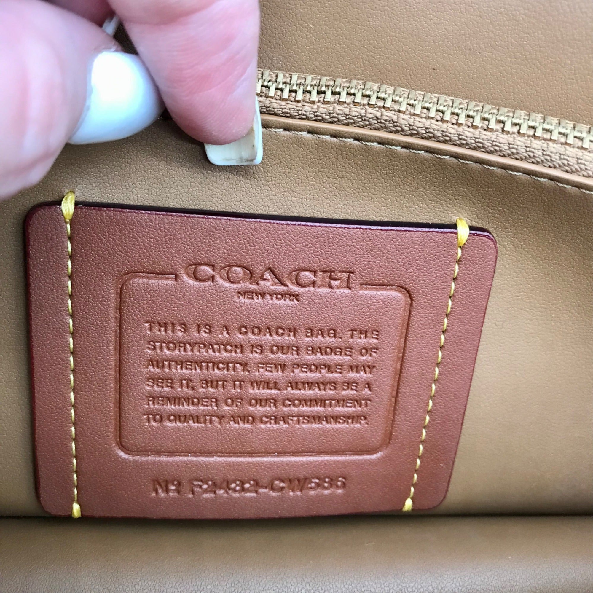 Coach Chalk Leather Evie Crossbody Bag CW586