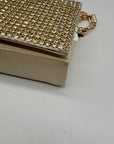 I.N.C Beige Mesh Clutch Bag
