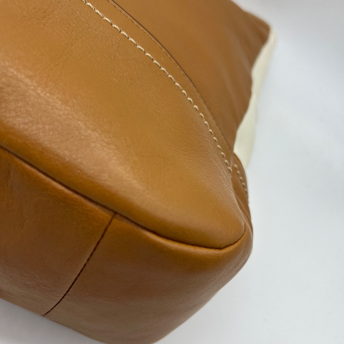 Coach Park Colorblock Carrie/ Hobo Bag F24369