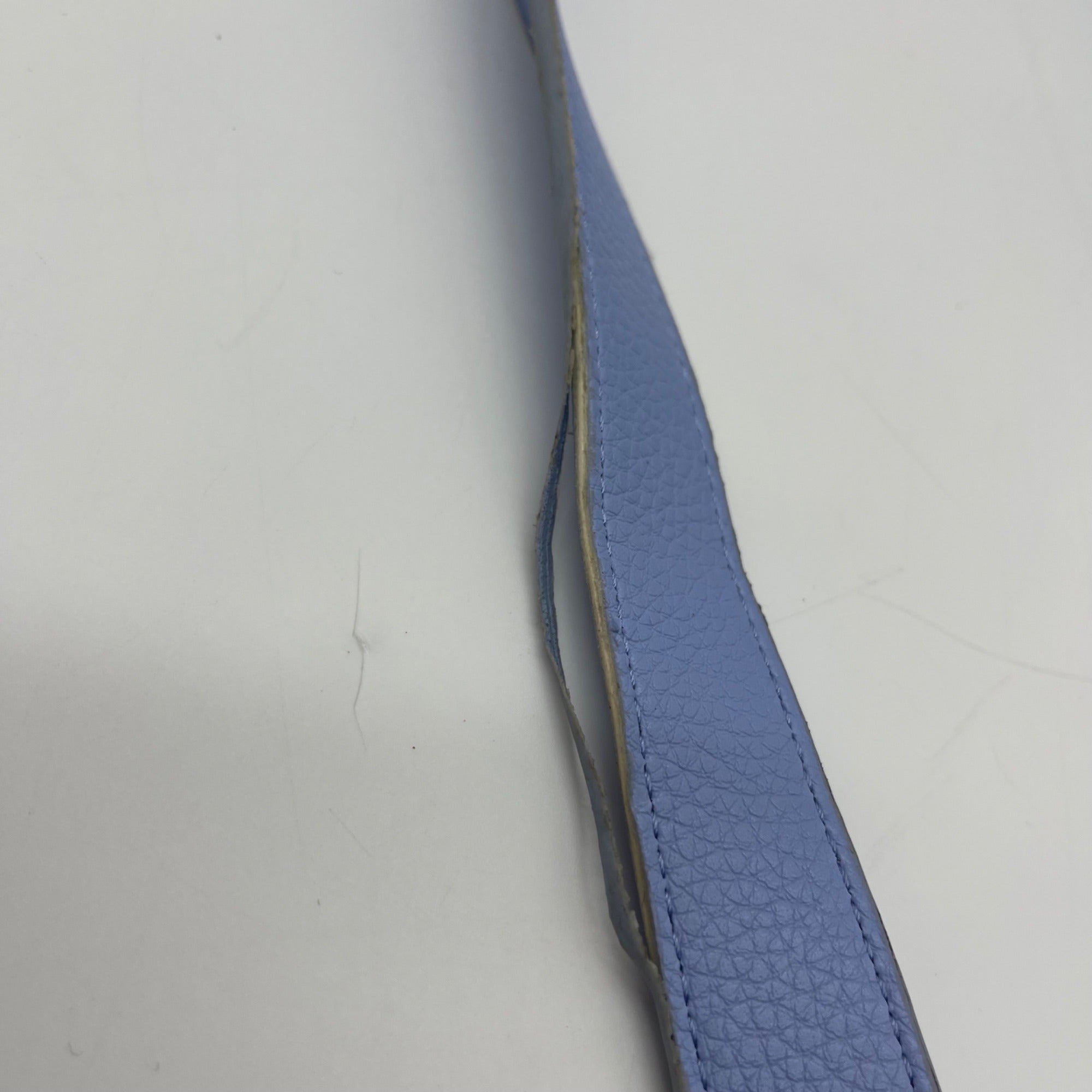 Steve Madden Periwinkle Crossbody Bag
