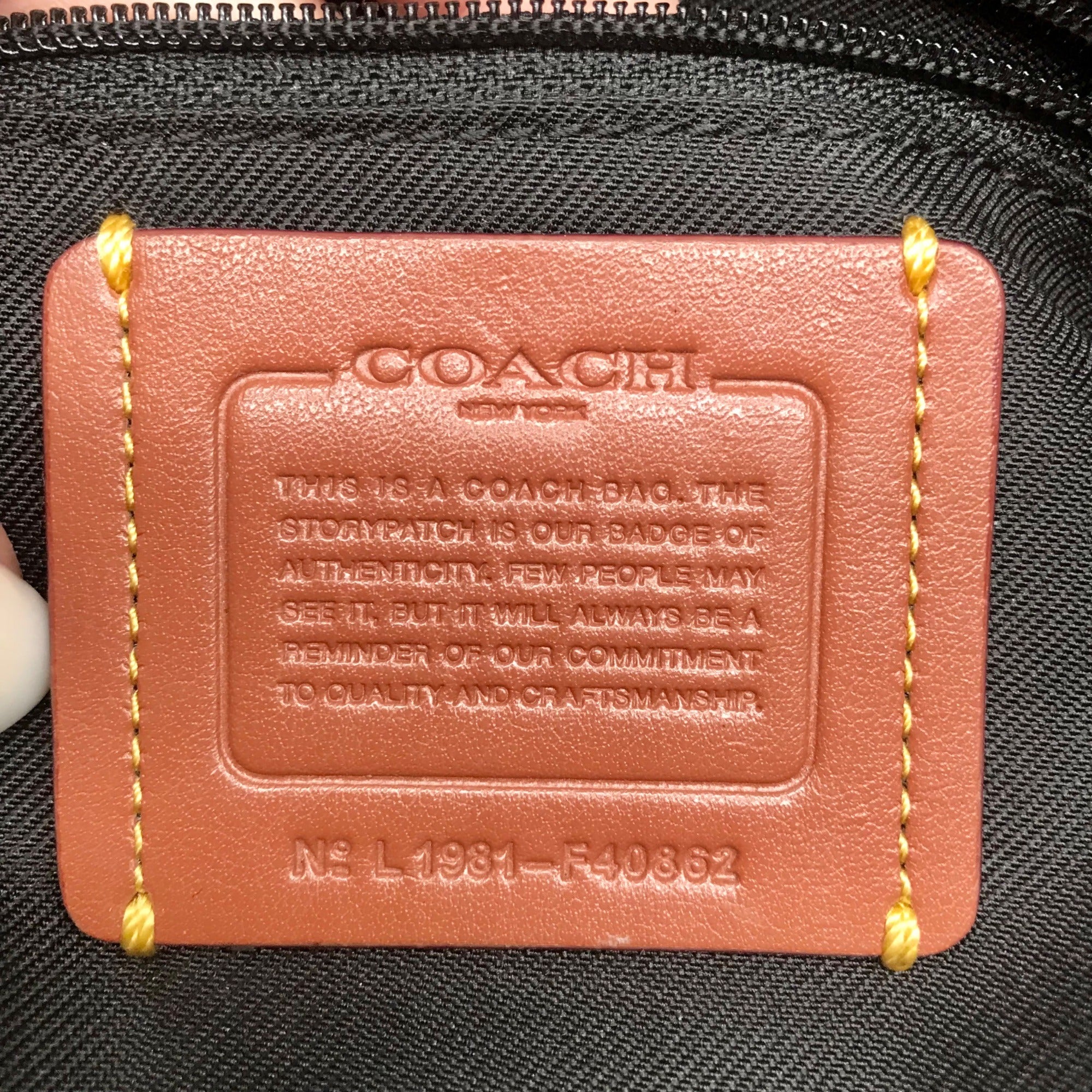 Coach Black Grain Leather &amp; Suede Drew Satchel  F40862