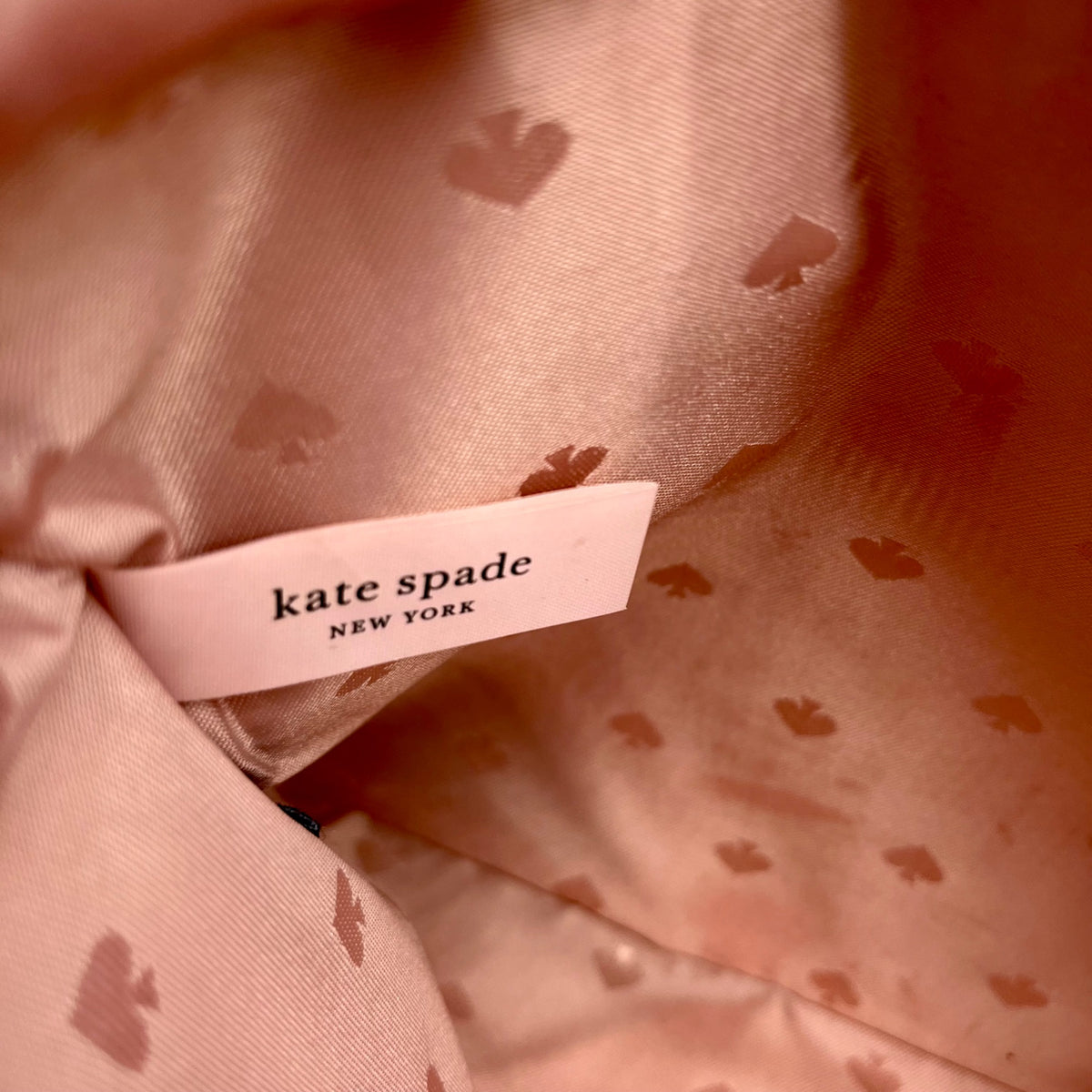 Kate Spade New York Pink Sienna Large Tassel Pouch Clutch