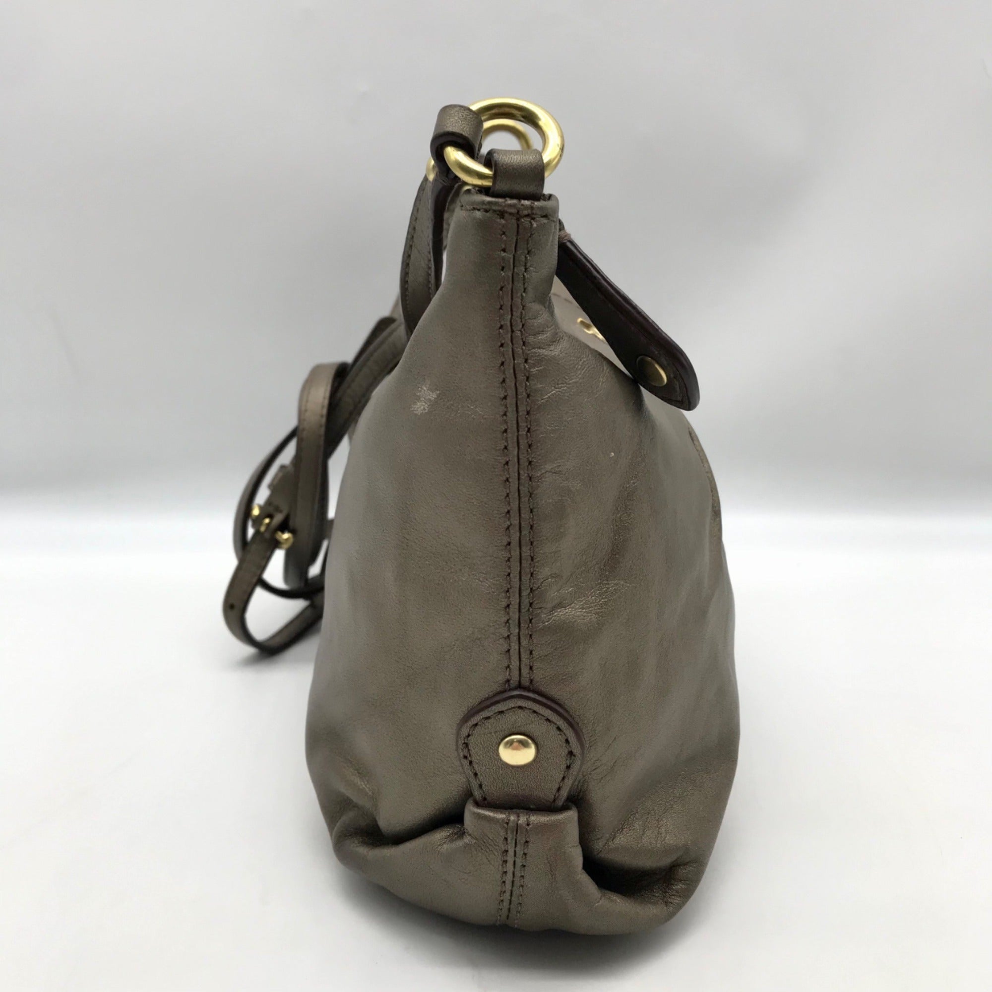 Coach Metallic Bronze Leather Ashley Crossbody Bag
